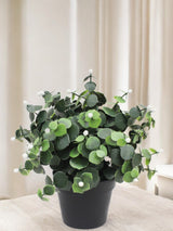 Livraison plante Eucalyptus blanc - Plante verte artificielle