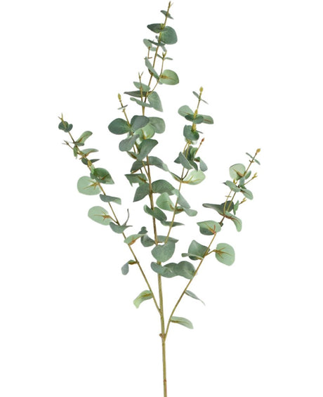 Livraison plante Eucalyptus - feuillage artificiel
