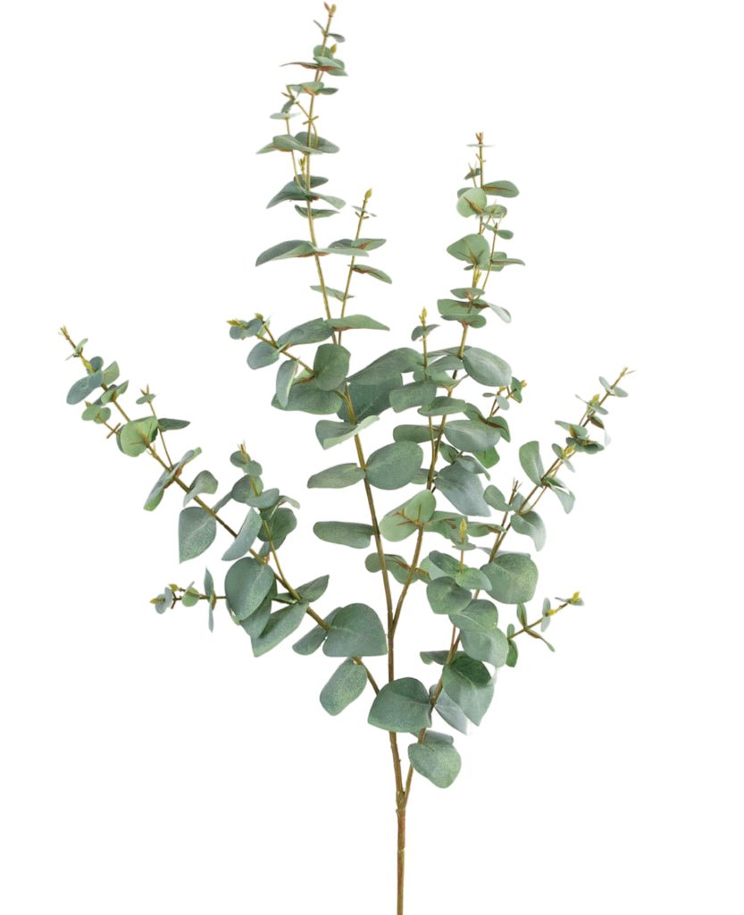 Livraison plante Eucalyptus - feuillage artificiel