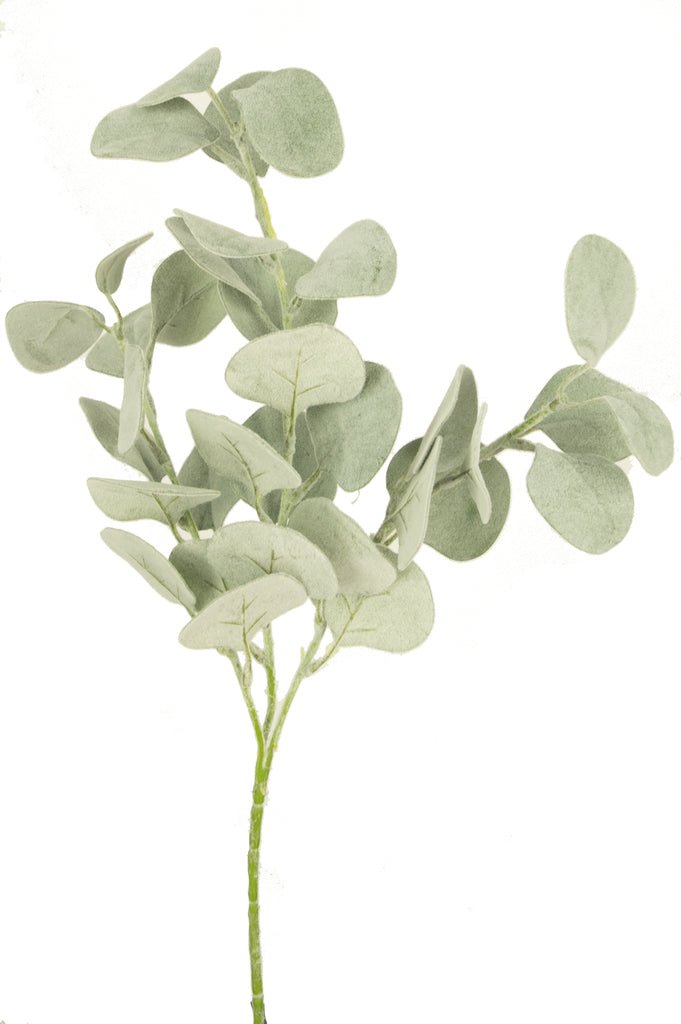 Livraison plante Eucalyptus rond - feuillage artificiel