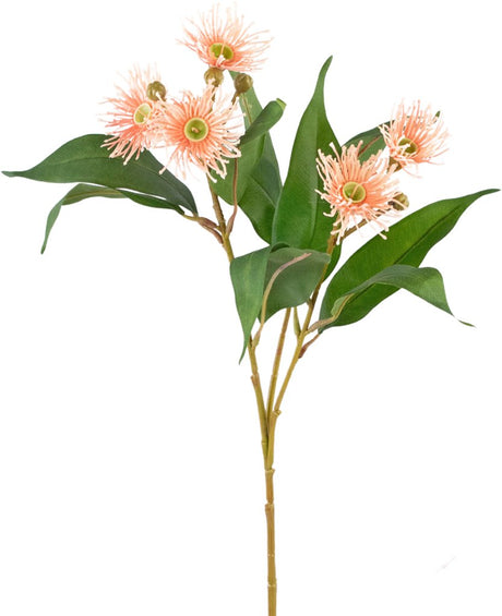 Livraison plante Eucalyptus rose - Branche fleurie artificielle
