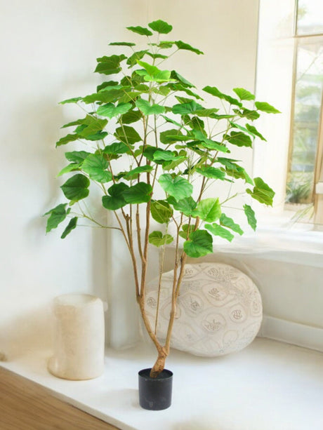Livraison plante Ficus - Arbre artificiel