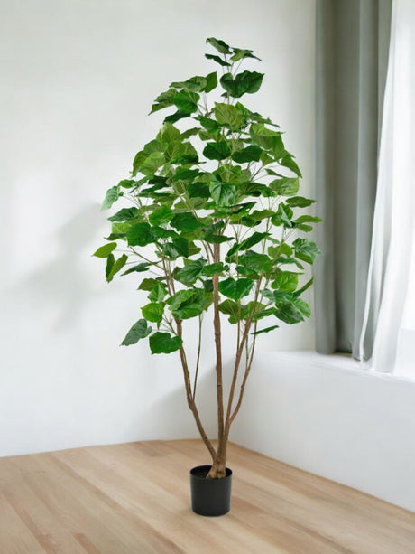 Livraison plante Ficus artificiel