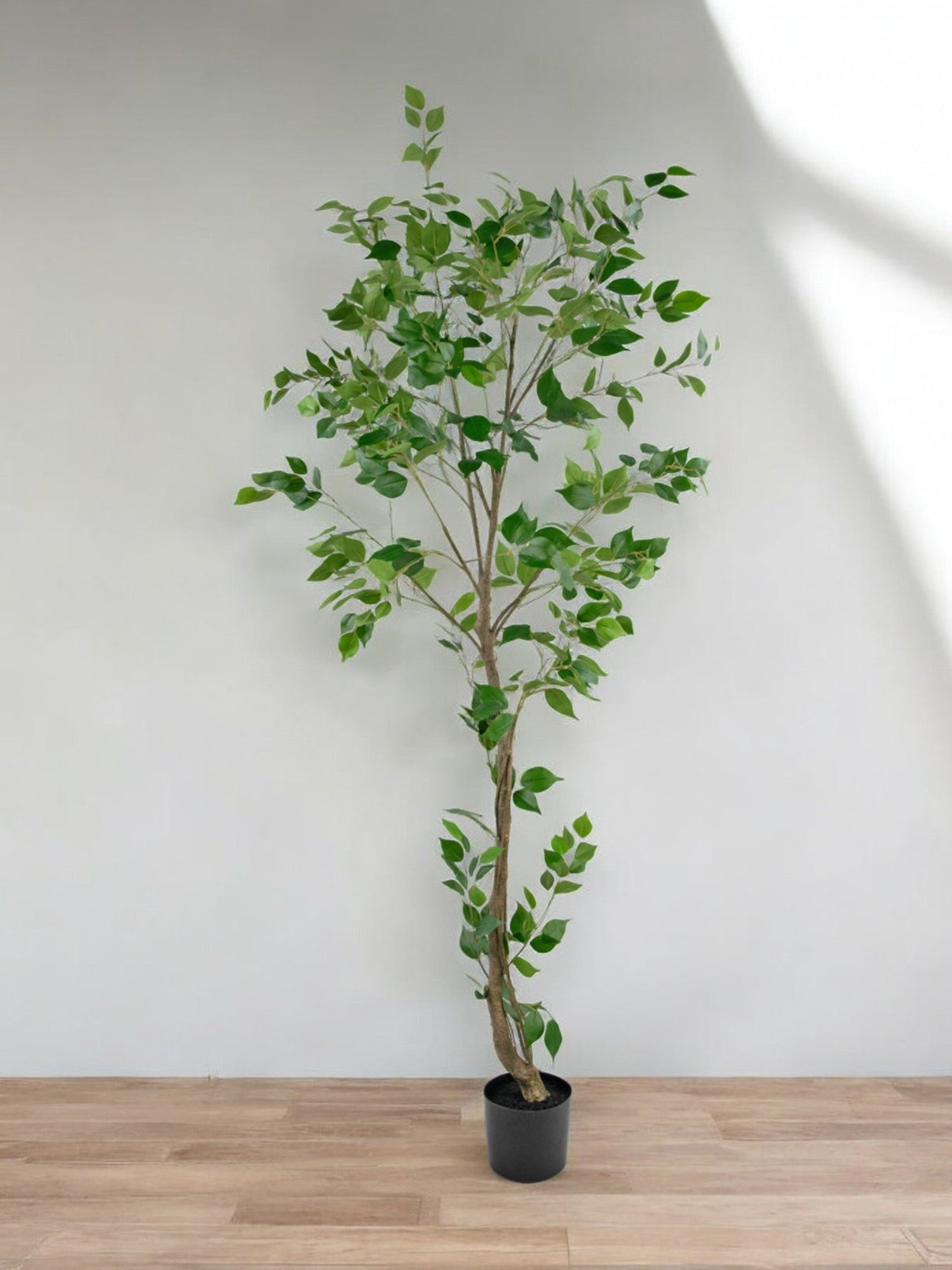 Livraison plante Ficus artificiel