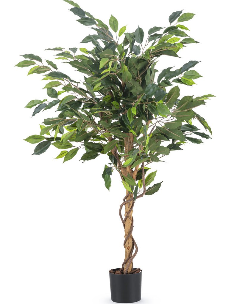 Livraison plante Ficus benjamina - Arbre artificiel