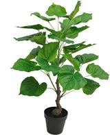 Livraison plante Ficus - grande plante artificielle