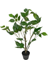 Livraison plante Ficus - grande plante artificielle