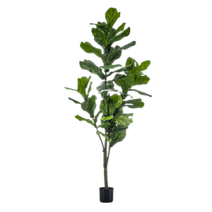 Livraison plante Ficus Lyrata artificiel