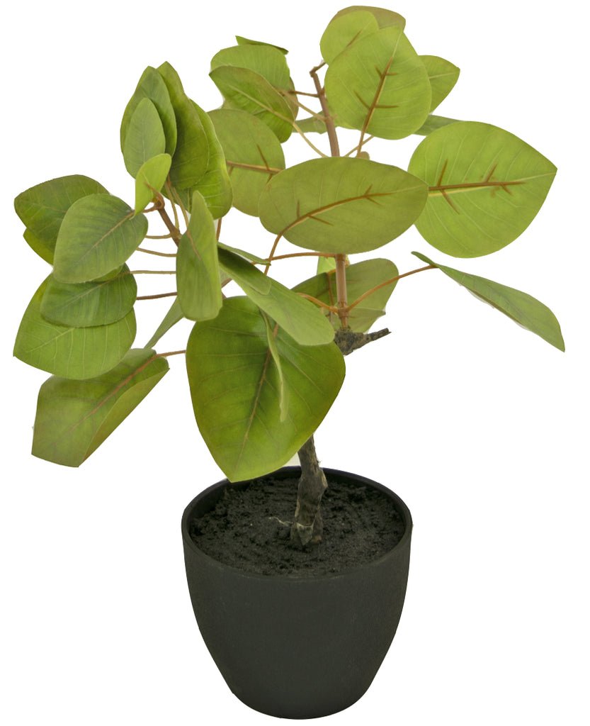 Livraison plante Ficus Tropica - Plante verte artificielle
