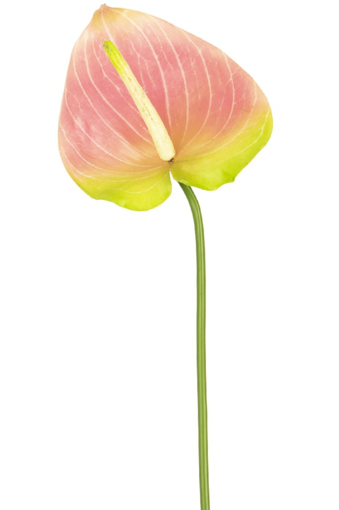 Livraison plante Fleur artificielle Anthurium vert/rose