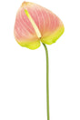 Livraison plante Fleur artificielle Anthurium vert/rose