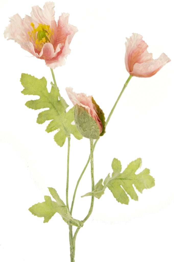 Livraison plante Fleur Artificielle Coquelicot rose pâle