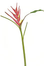 Livraison plante Fleur artificielle Héliconia fuchsia