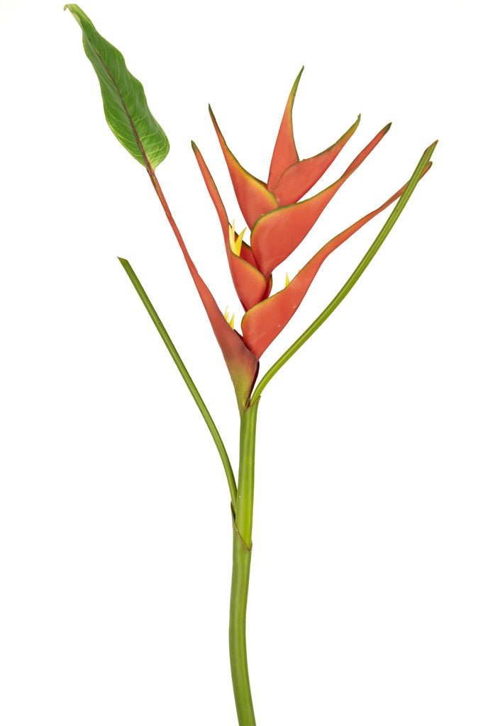 Livraison plante Fleur Artificielle Héliconia rouge