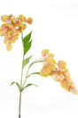 Livraison plante Fleur artificielle Paniculata
