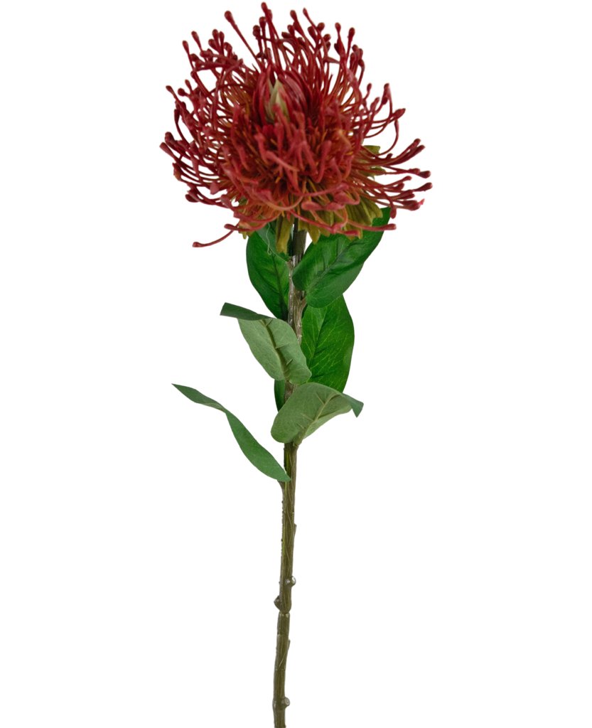 Livraison plante Fleur artificielle Protea rouge