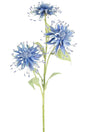 Livraison plante Fleur Artificielle Scabiosa Japonica bleue