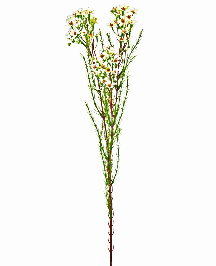Livraison plante Fleur de cire - feuillage artificiel