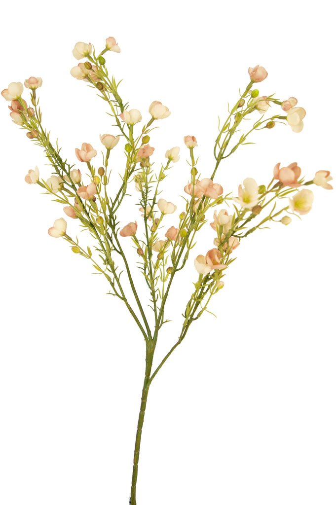 Livraison plante Fleur de cire rose - Branche fleurie artificielle