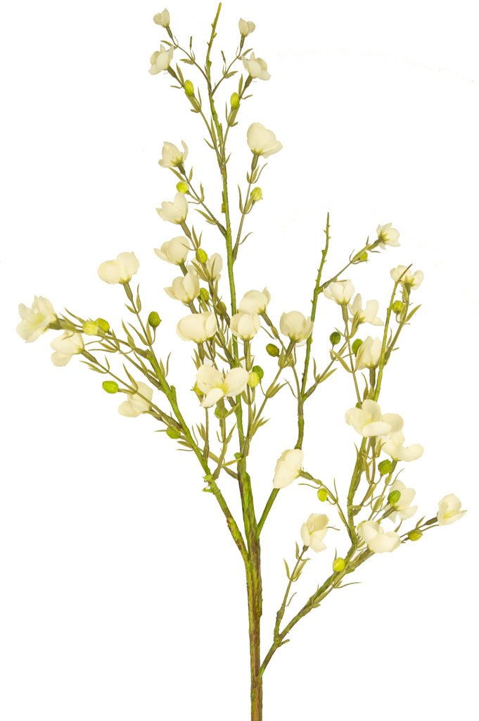 Livraison plante Fleur de cire sauvage - Branche fleurie artificielle