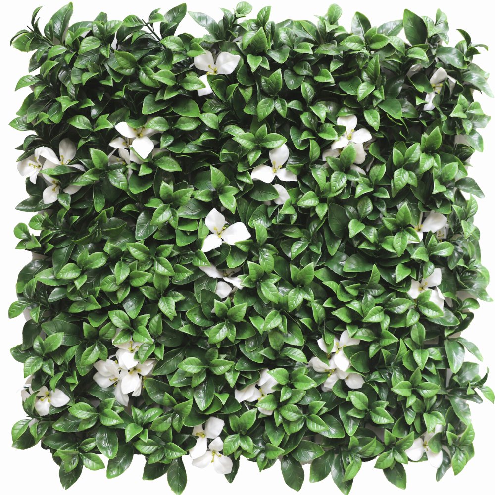 Livraison plante Gardenia à fleur blanche - mur végétal artificiel