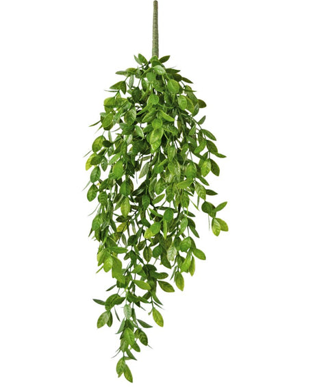 Livraison plante Gardenia - Feuillage artificiel à suspendre