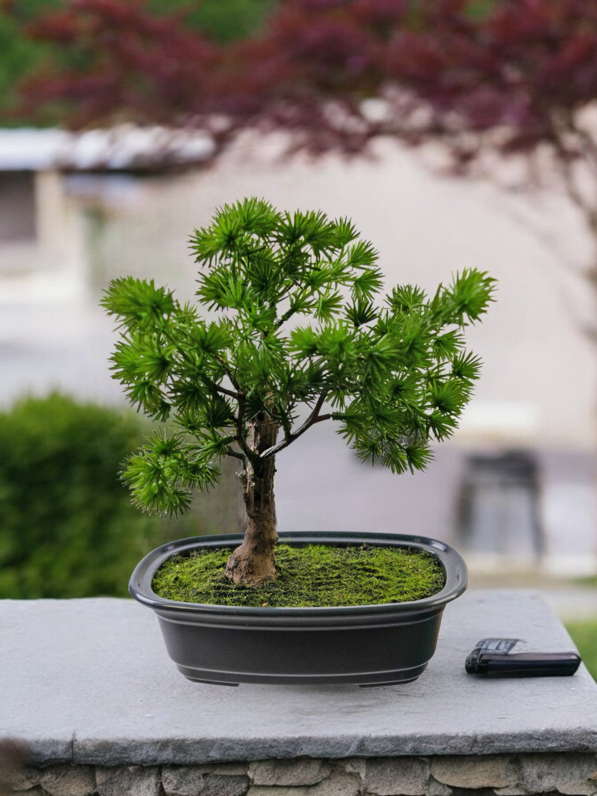 Livraison plante Genévrier - bonsai artificiel