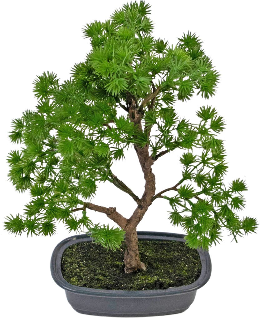 Livraison plante Genévrier - bonsai artificiel