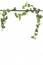 Livraison plante Guirlande de Vigne - Feuillage artificiel à suspendre