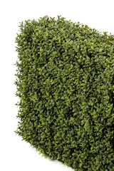 Livraison plante Haie 70x20x50 - Buis artificiel