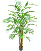 Livraison plante Hawaii Parlour - Palmier artificiel