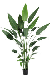 Livraison plante Heliconia - grande plante artificielle