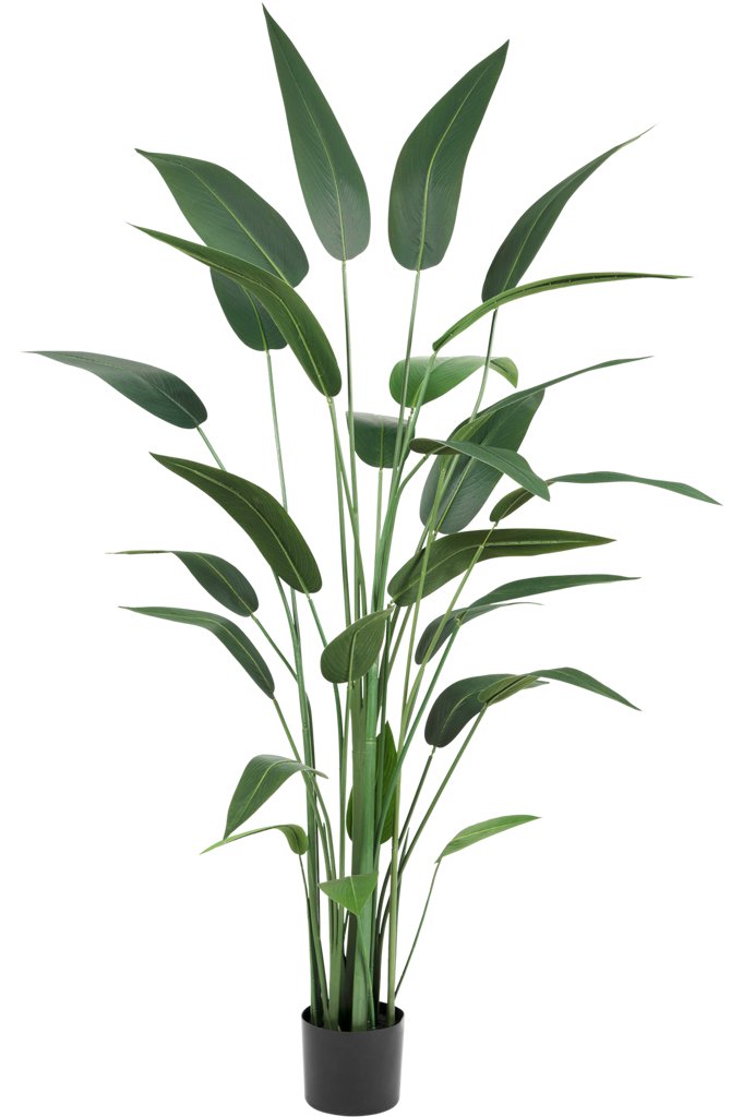 Livraison plante Héliconia - grande plante artificielle