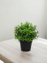 Livraison plante Herbes - Plante d'extérieur artificielle en pot