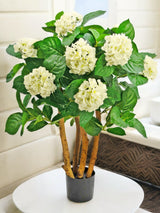 Livraison plante Hortensia artificiel blanc