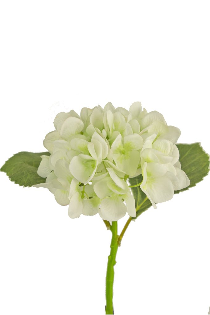 Livraison plante Hortensia Artificiel Blanc