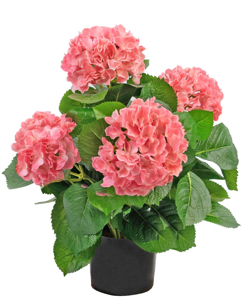 Livraison plante Hortensia artificiel rose