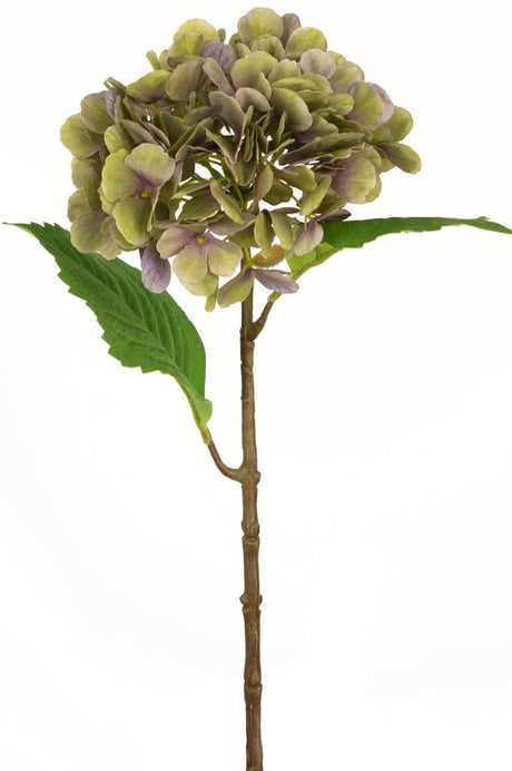 Livraison plante Hortensia Deluxe vert/violet artificiel