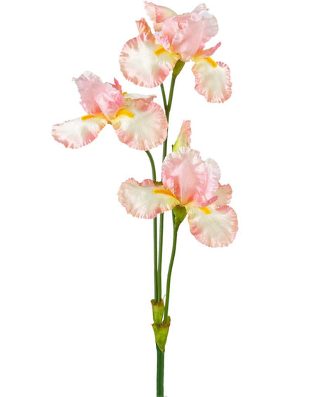 Livraison plante Iris artificiel rose clair