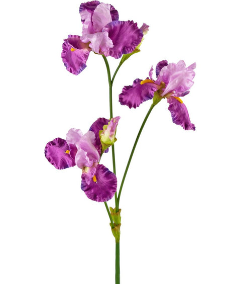 Livraison plante Iris artificiel violet