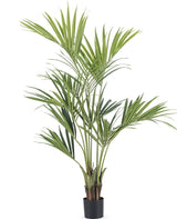 Livraison plante Kentia - Palmier artificiel