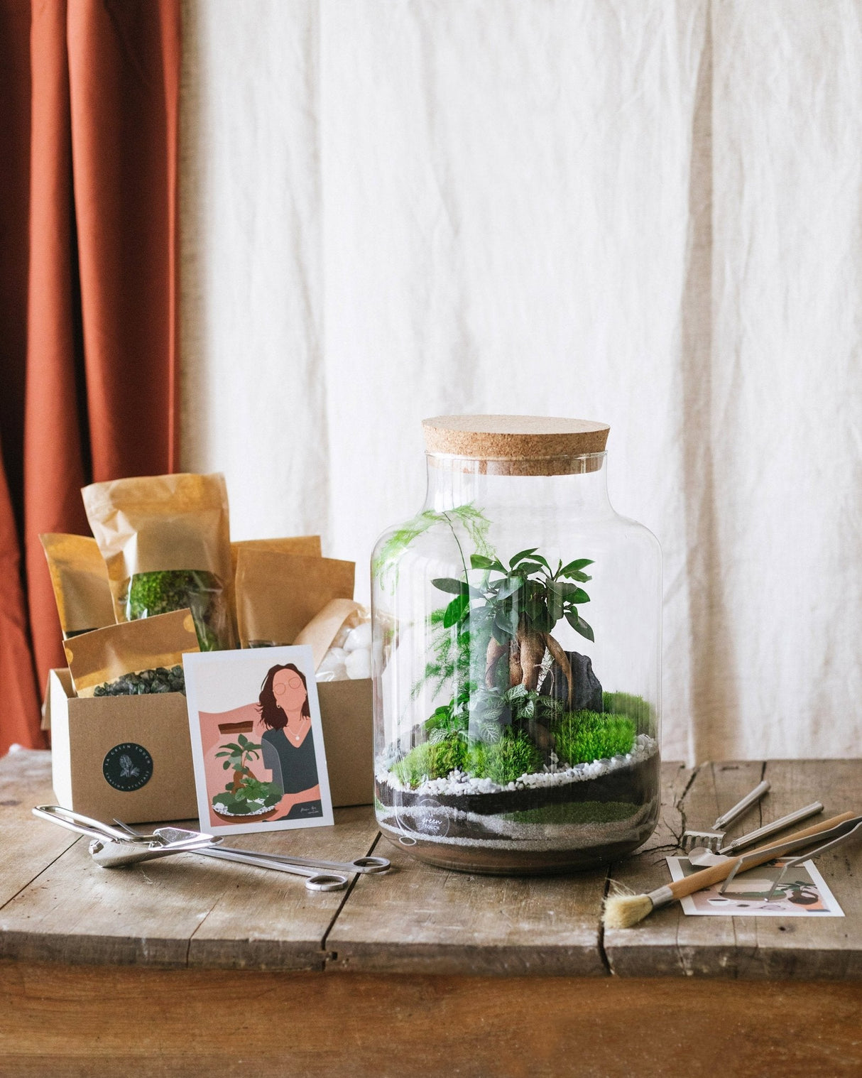 La Green Touch Kit Diy Terrarium Plantes + Bocal Cortica 