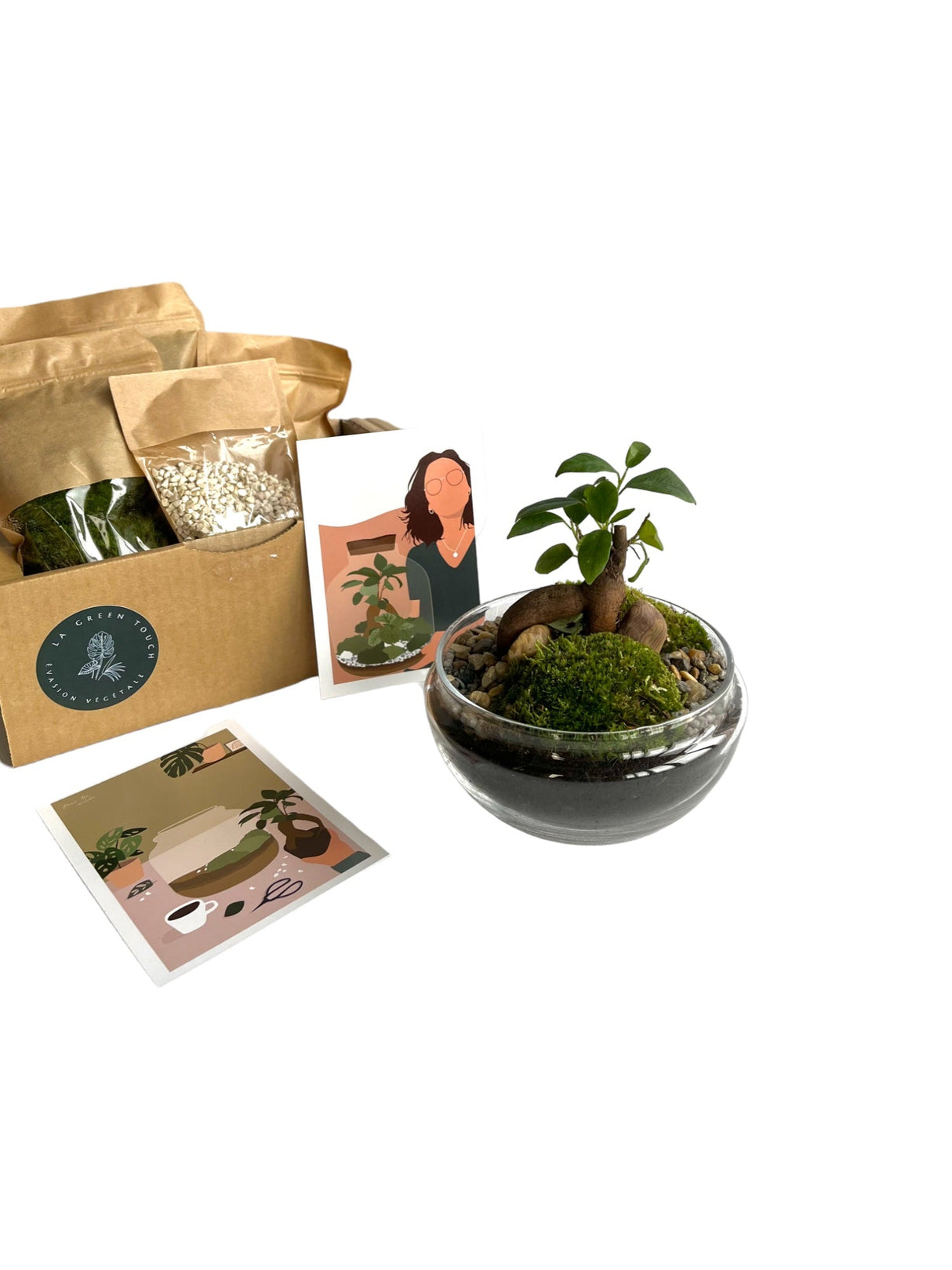 Livraison plante Kit Terrarium DIY - BOHOL