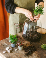 Livraison plante Kit Terrarium DIY - CAYENNE