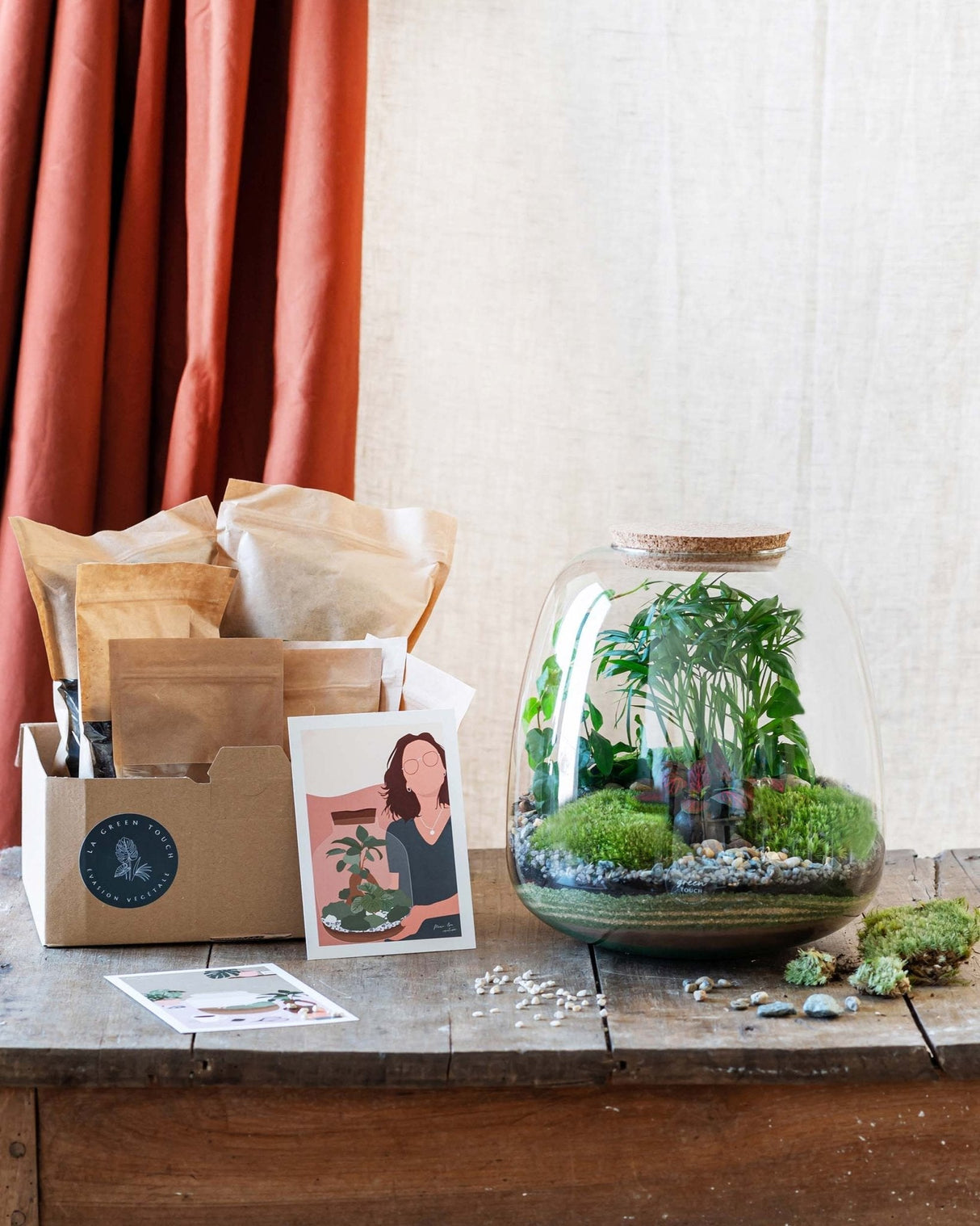 Livraison plante Kit Terrarium DIY - CAYENNE