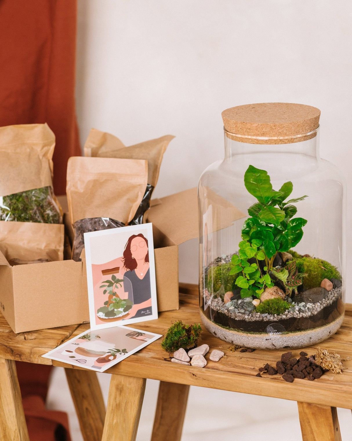 La Green Touch Kit Diy Terrarium Plantes + Bocal Cortica 