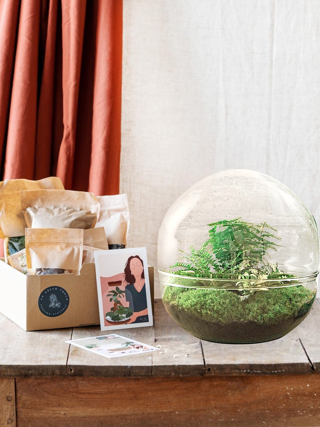 Livraison plante Kit Terrarium DIY - DOME XL