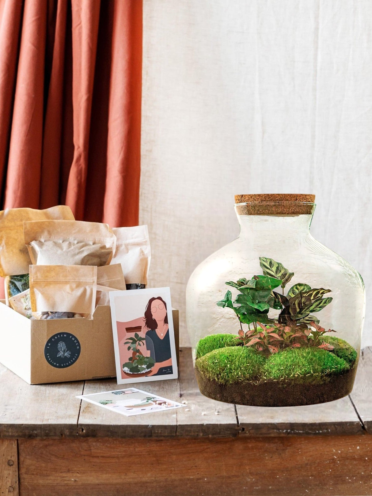 Livraison plante Kit Terrarium DIY - JOY