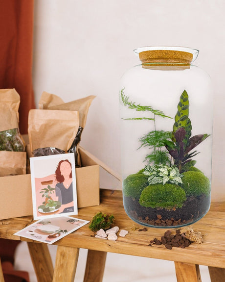 Livraison plante Kit Terrarium DIY - SALEN