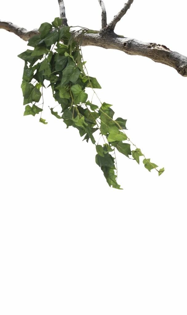 Livraison plante Kunst Klimop Hangplant 65cm